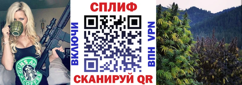 Наркота Чусовой A PVP  Каннабис  Мефедрон  Галлюциногенные грибы  ГАШИШ 