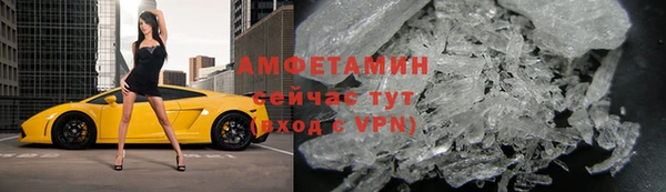 прущие грибы Кукмор
