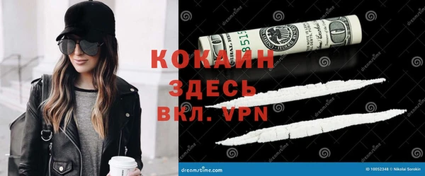 прущие грибы Кукмор