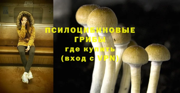 МДПВ Алагир