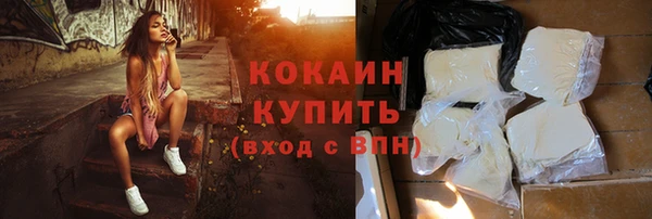 прущие грибы Кукмор