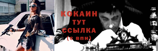 прущие грибы Кукмор