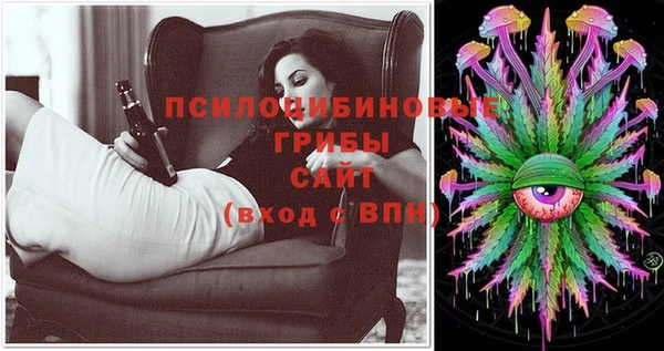 прущие грибы Кукмор