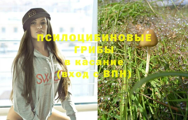 прущие грибы Кукмор