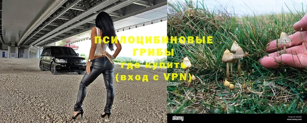 прущие грибы Кукмор