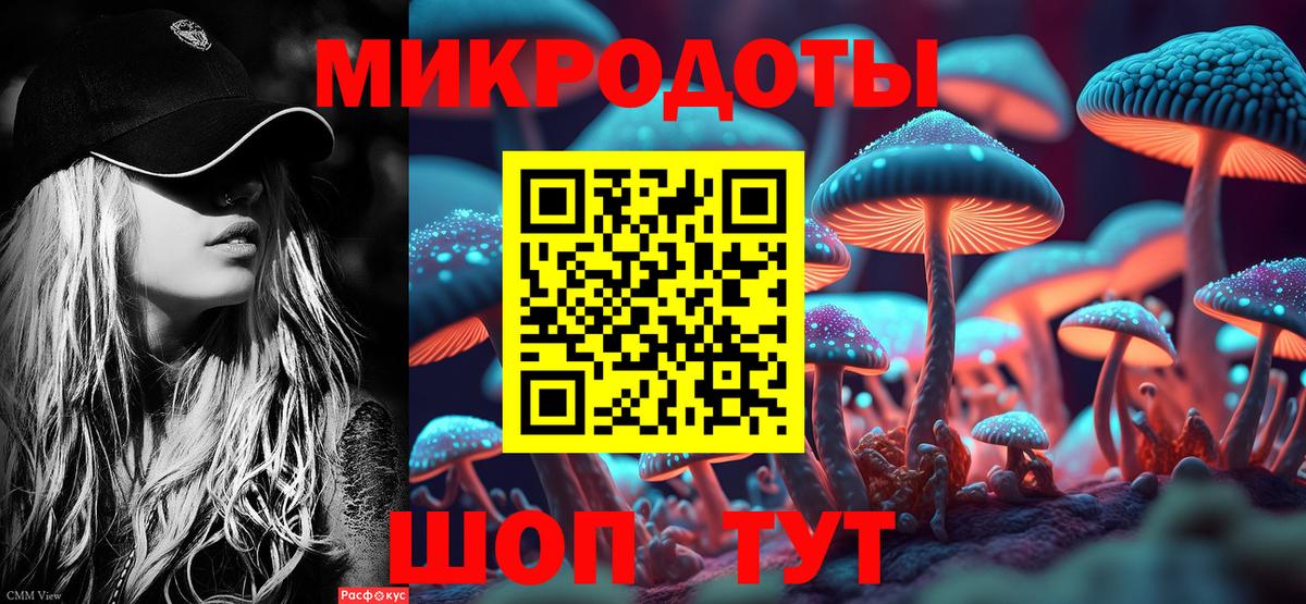 Галлюциногенные грибы Psilocybine cubensis  Вход с VPN  Чусовой 