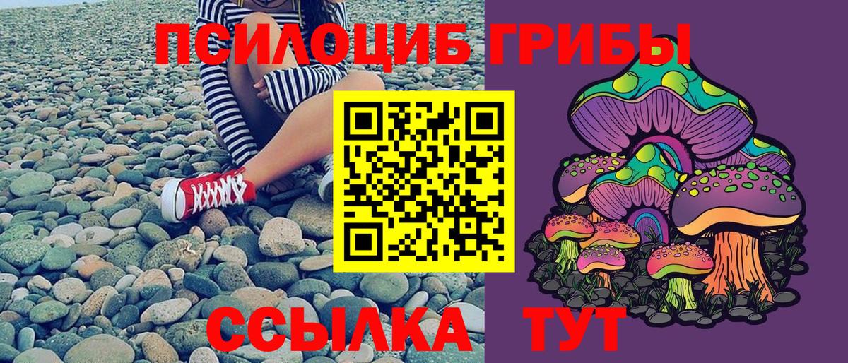 Псилоцибиновые грибы MAGIC MUSHROOMS Чусовой